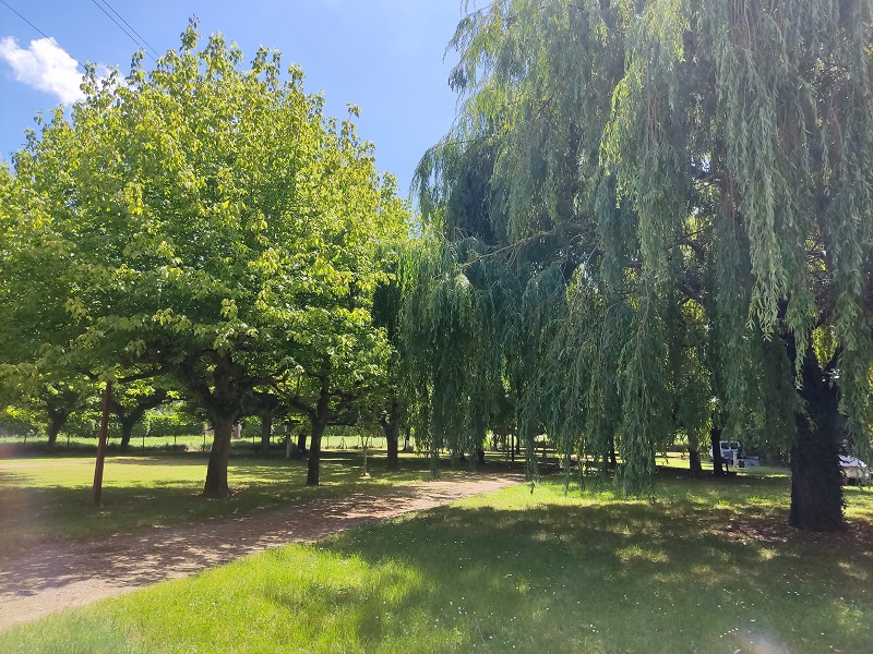 Camping Les Platanes, Meilhan-sur-Garonne - photo 2