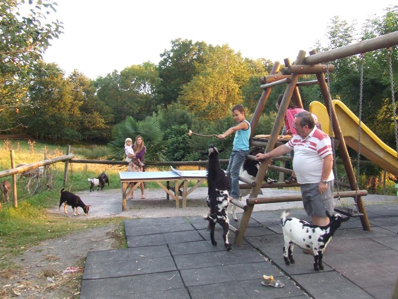 Camping Manex