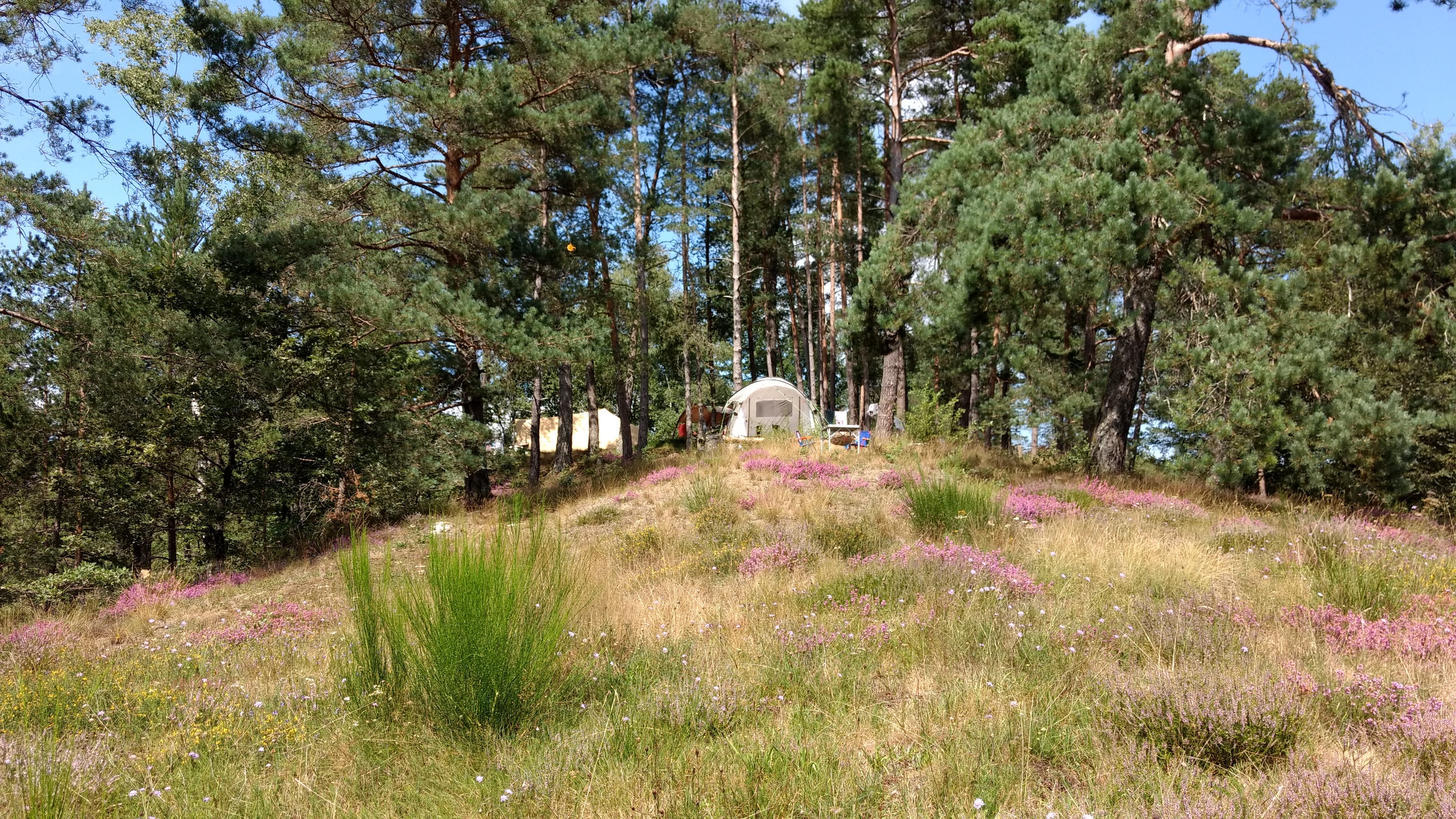 Aire Naturelle Le Moulin de Lacombe, Saint-Geniez-ô-Merle - photo 4