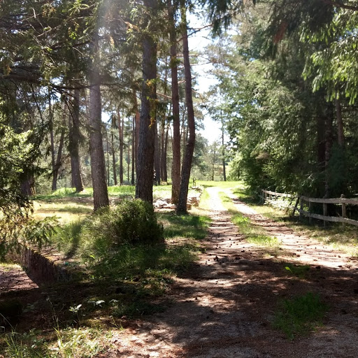 Aire Naturelle Le Moulin de Lacombe, Saint-Geniez-ô-Merle - photo 11