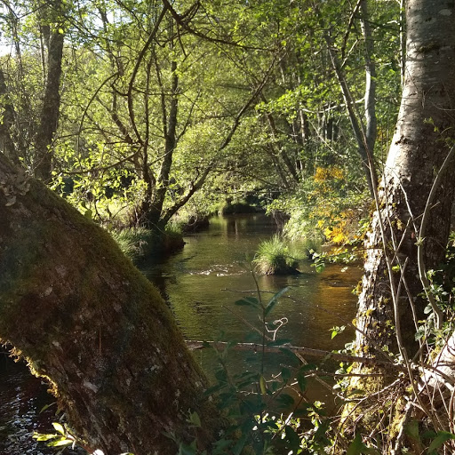 Aire Naturelle Le Moulin de Lacombe, Saint-Geniez-ô-Merle - photo 42
