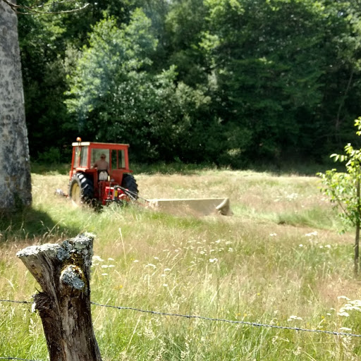 Aire Naturelle Le Moulin de Lacombe, Saint-Geniez-ô-Merle - photo 8
