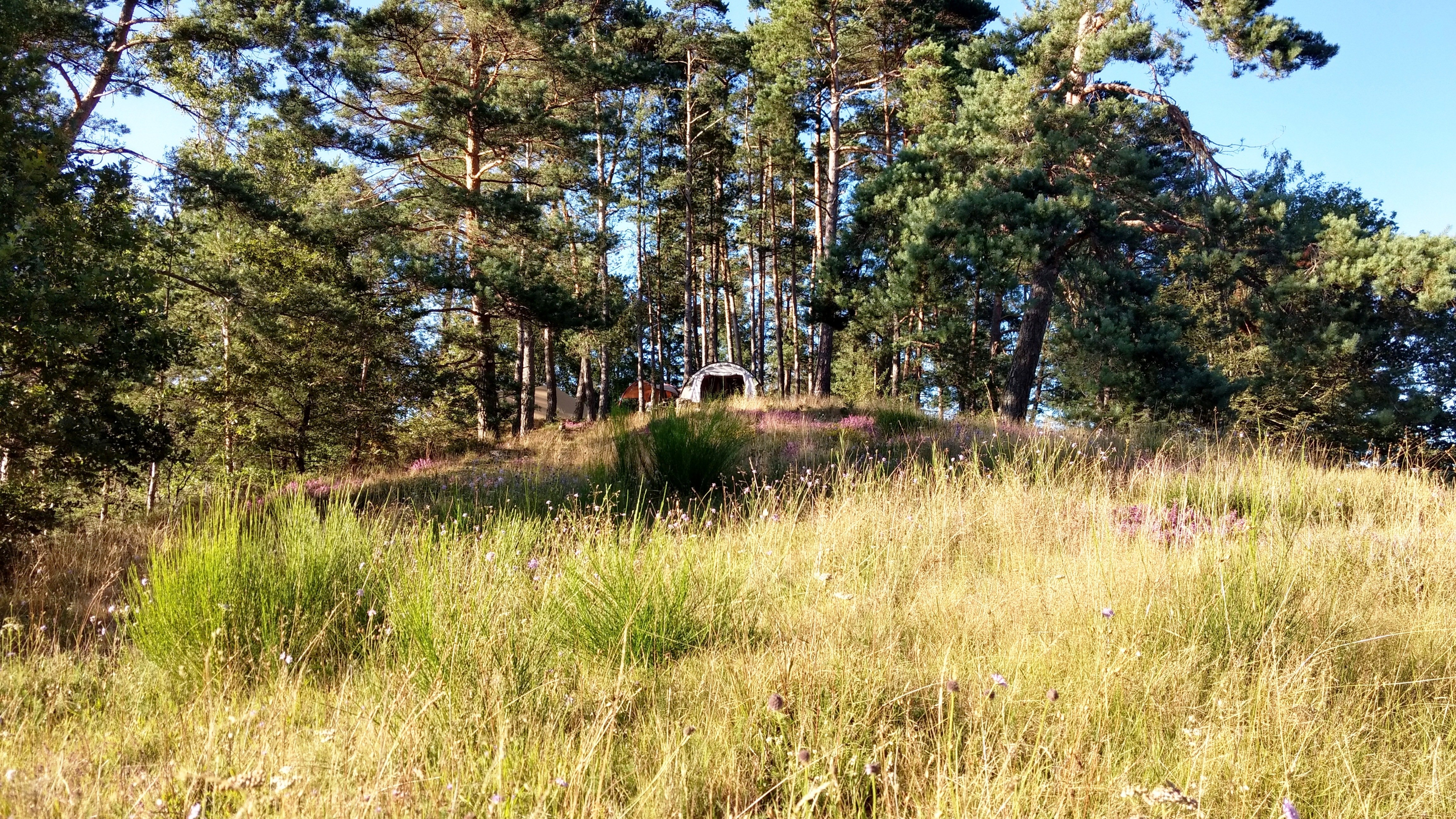 Aire Naturelle Le Moulin de Lacombe, Saint-Geniez-ô-Merle - photo 21
