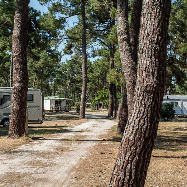 Camping Municipal de l'Océan, Vendays-Montalivet - photo 7