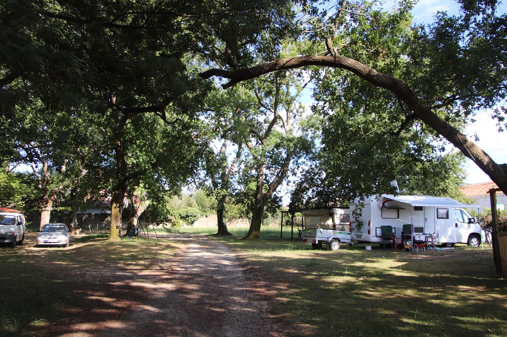 Camping La ferme Bizençon - photo 4