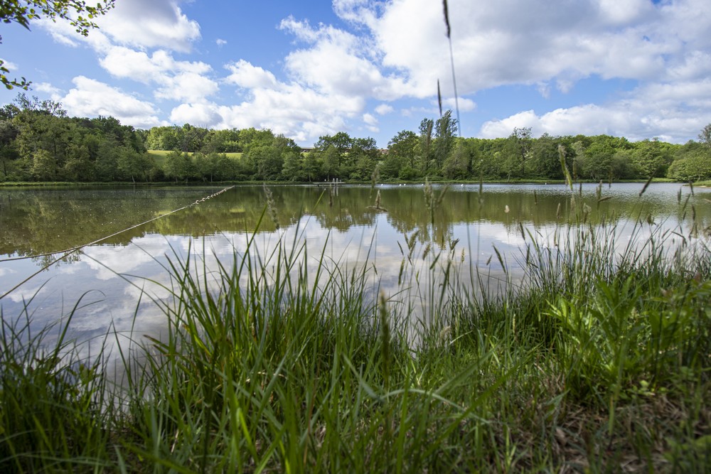Camping naturiste du Lac de Lislebonne, Réaup-Lisse - photo 22