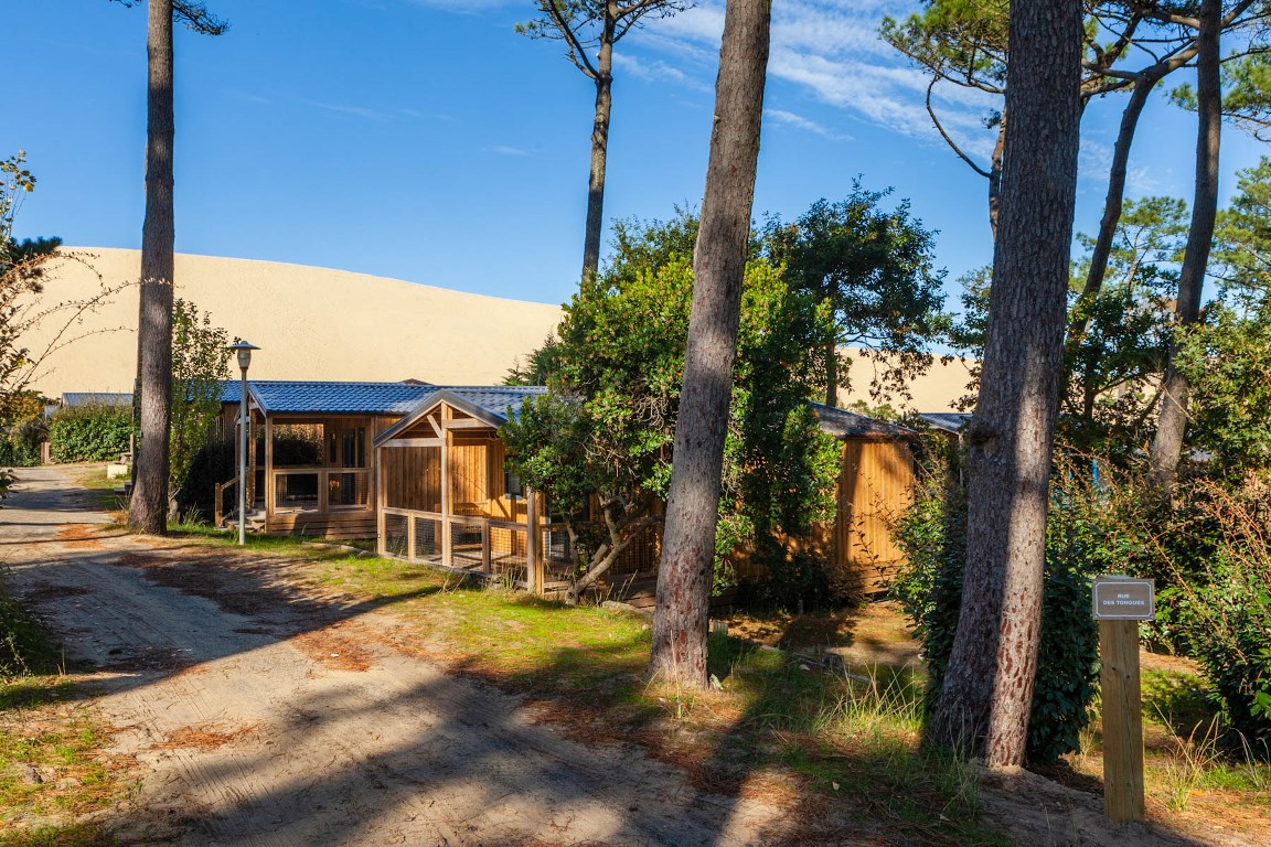 Camping de la Dune