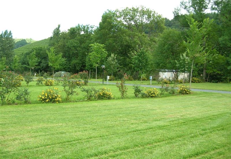 Camping de la Truite