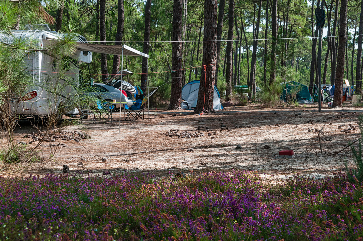 Camping municipal du Gurp, Grayan-et-l'Hôpital - photo 9