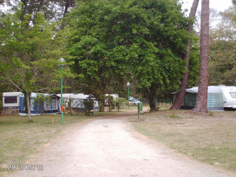 Camping Bel Air Lac de Cazaux