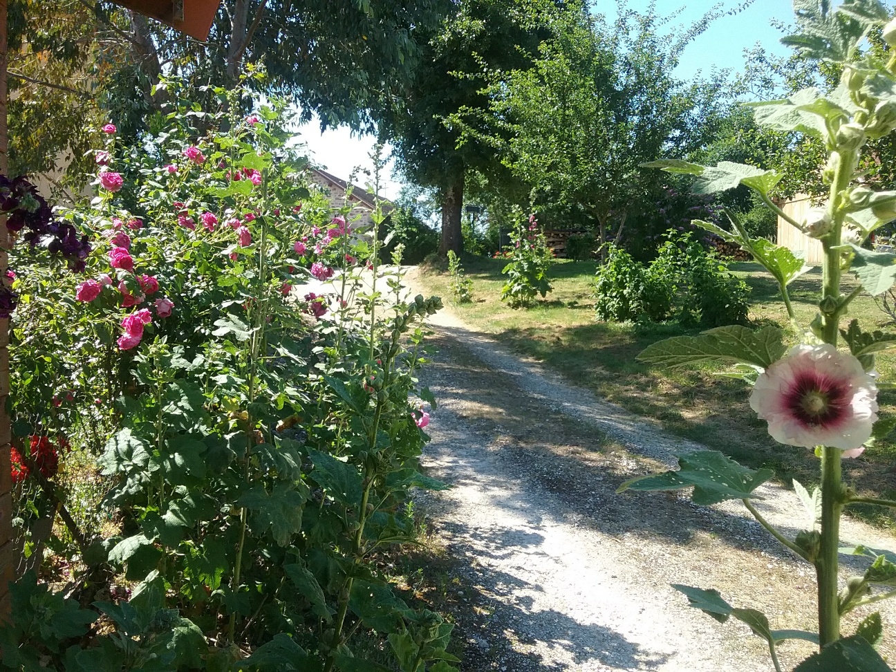 Camping la Grenouille, Hautefort - photo 4