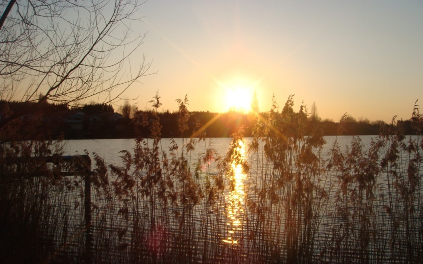 Camping Domaine du Lac - photo 2