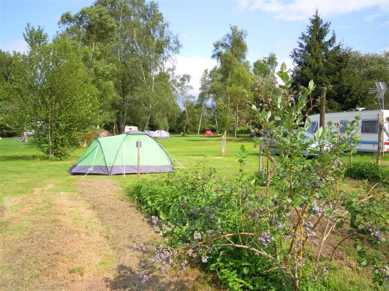 Camping Les Jardins d'Ossau