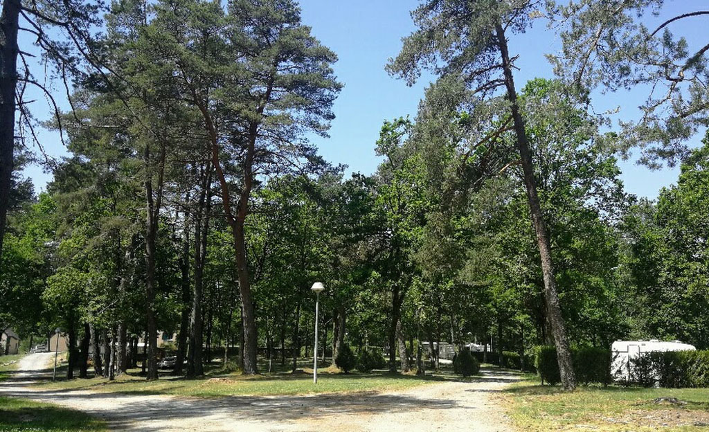 Camping au coeur du parc - photo 4