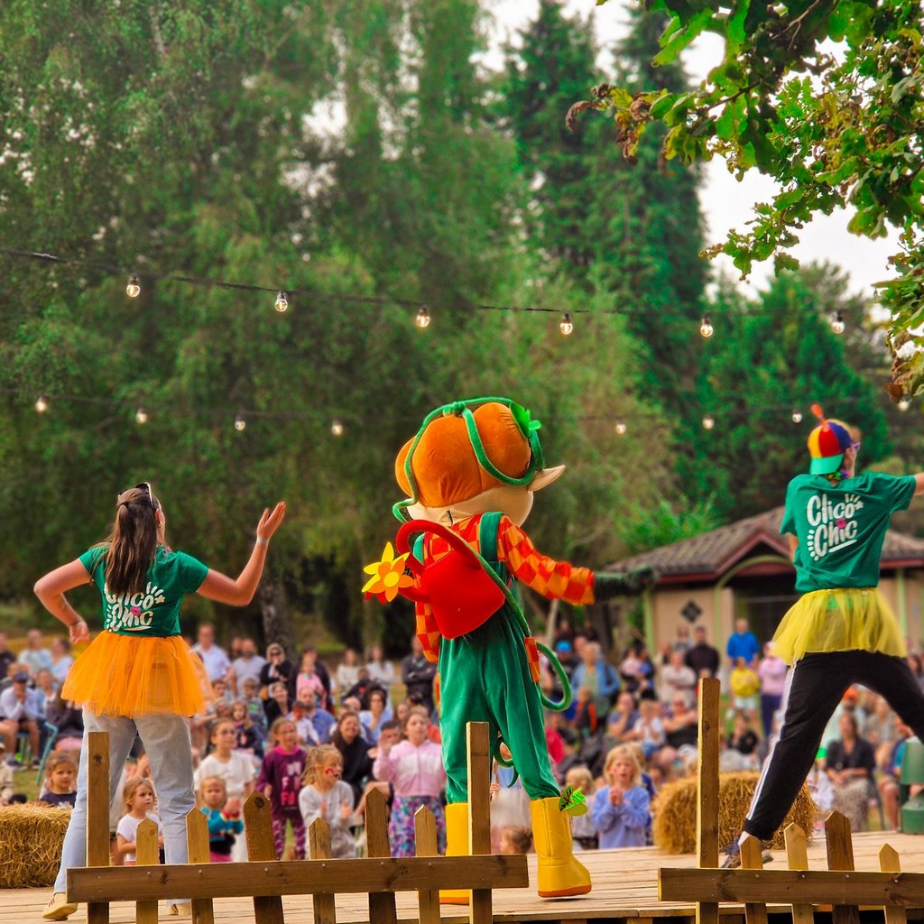 Camping Domaine du Lac de Miel - photo 3