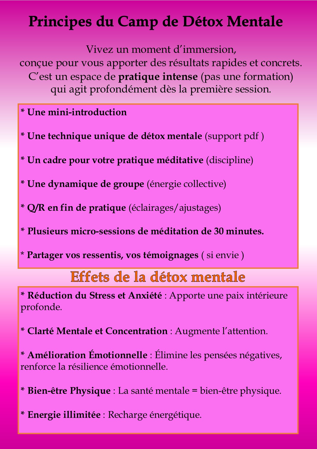 La Fabrik : Camps Détox Mentale, Saint-Pardoux-Soutiers - photo 2