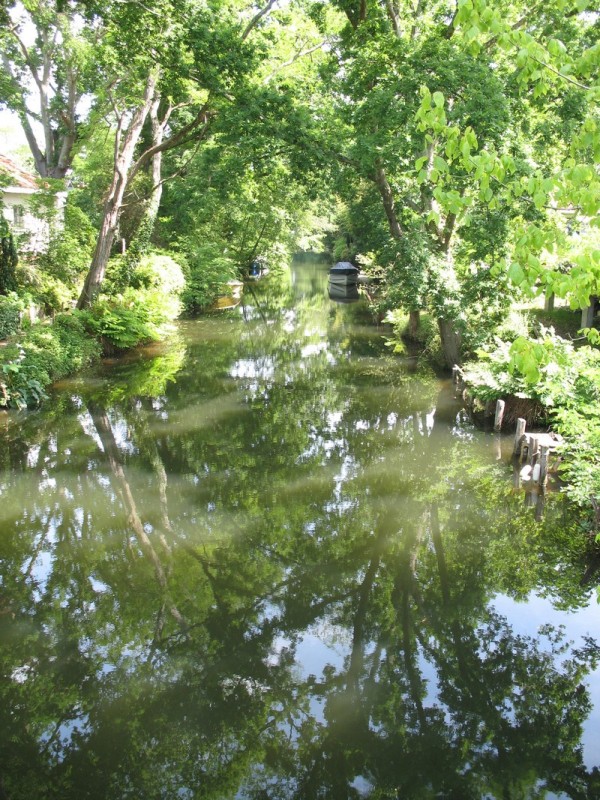Canal des Landes, La Teste-de-Buch - photo 2