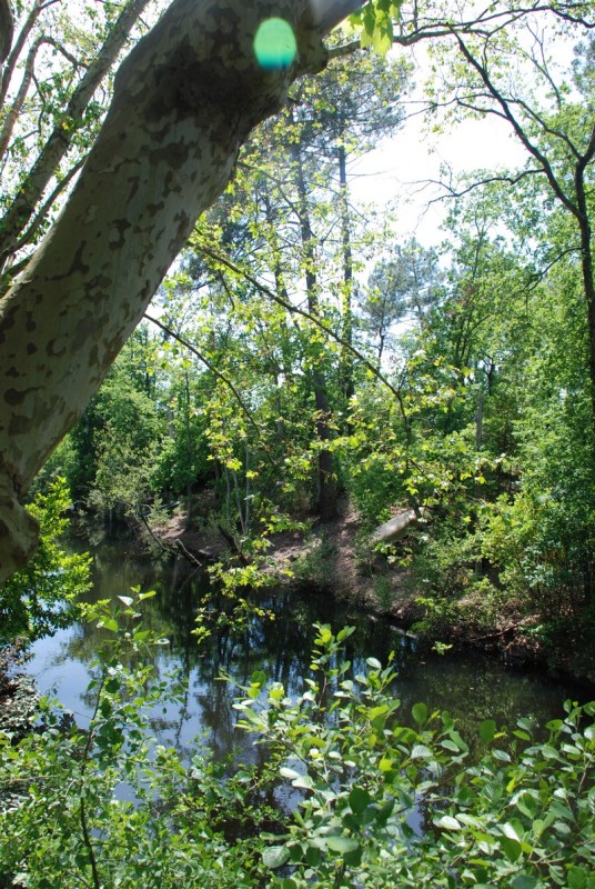 Canal des Landes, La Teste-de-Buch