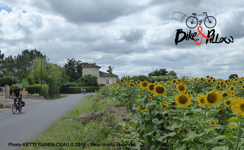 Bike & Pillow - photo 4