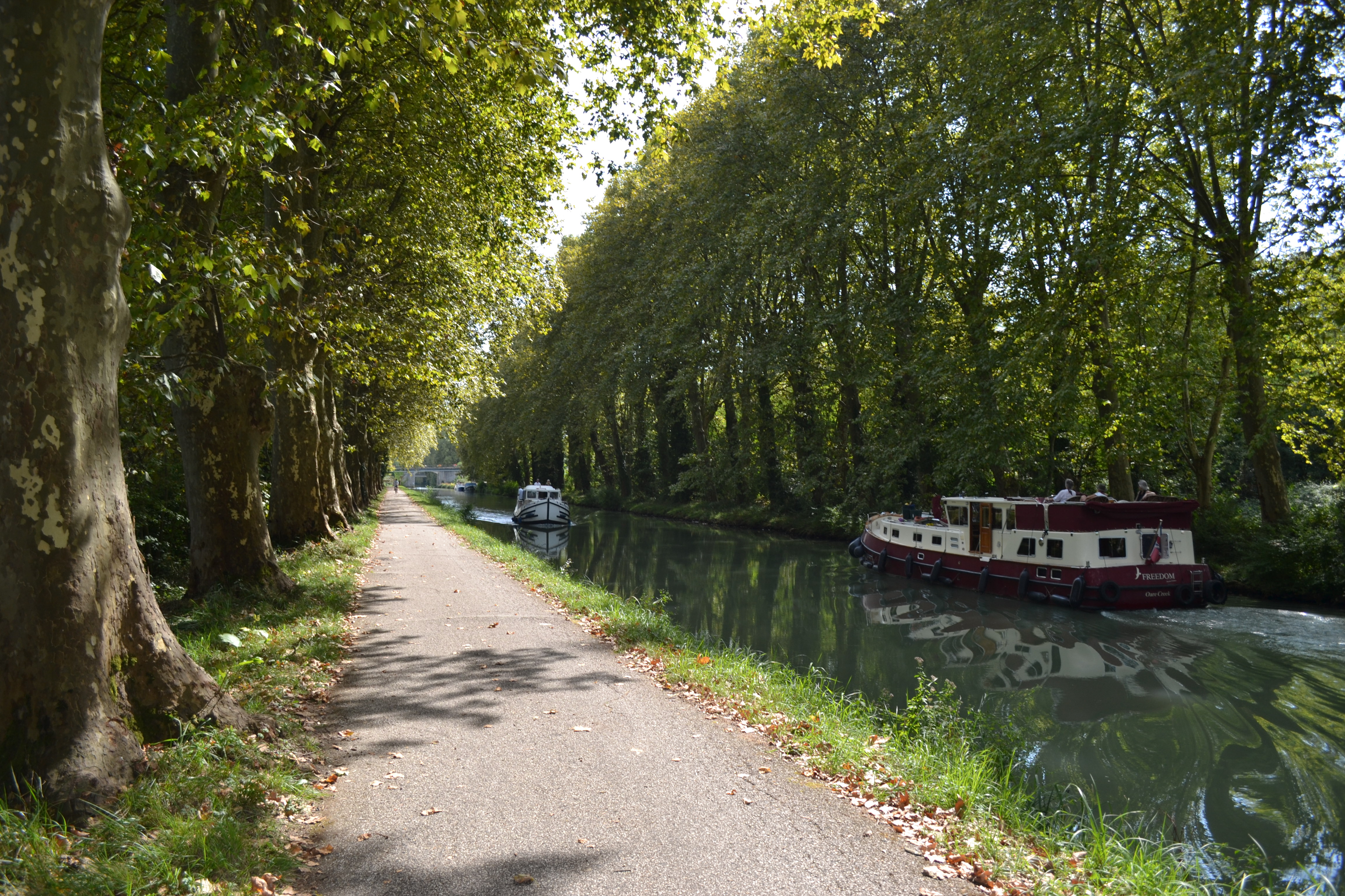 Canal de Garonne, Damazan - photo 3