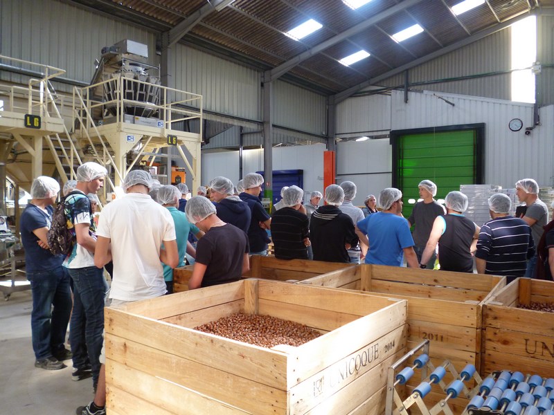 Visite de la coopérative Unicoque et des vergers de noisetiers, Cancon - photo 3