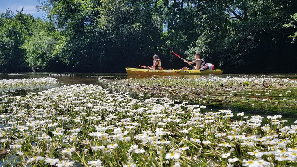 Duellas canoë