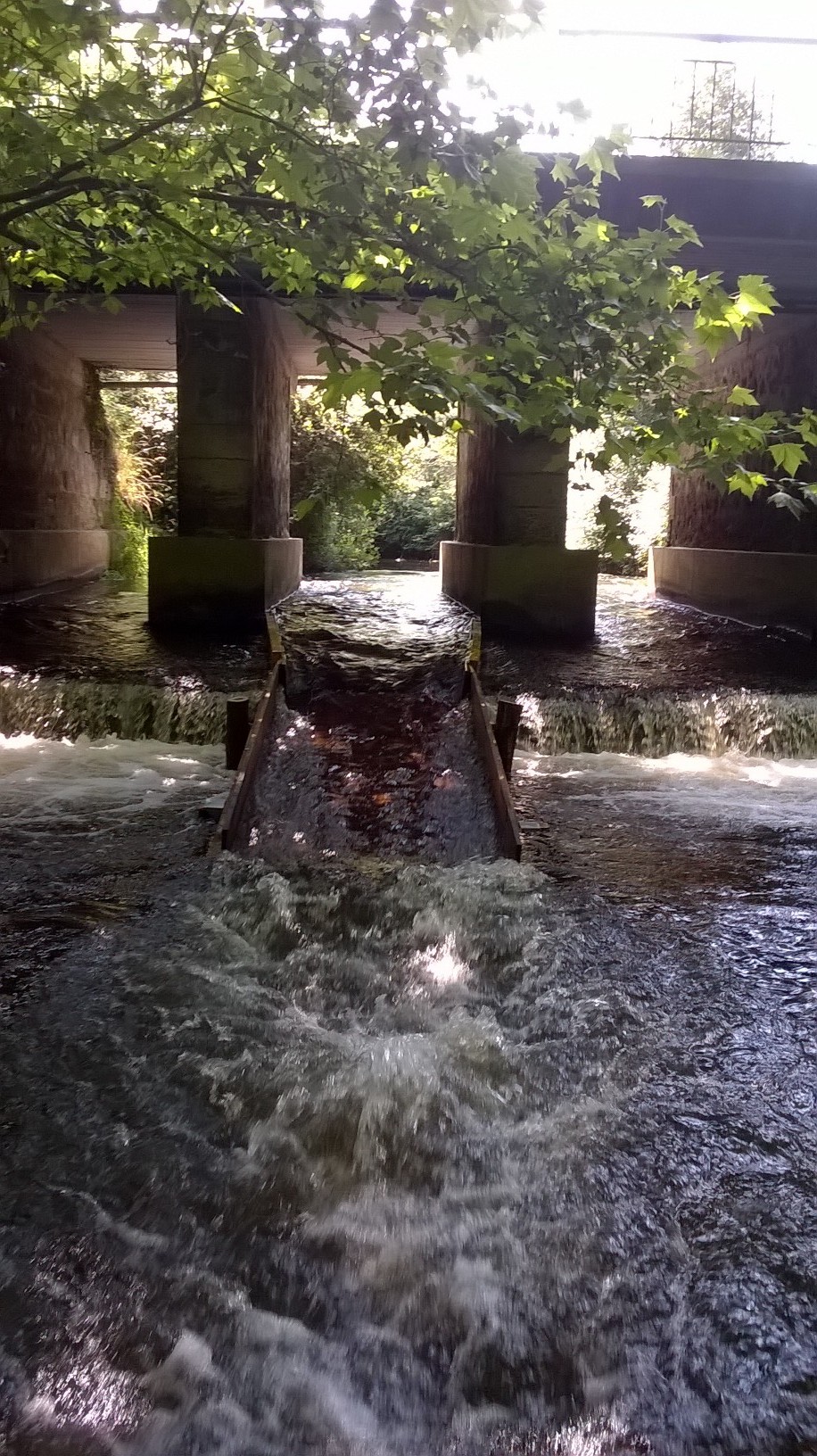 Canoë Aventure - photo 2