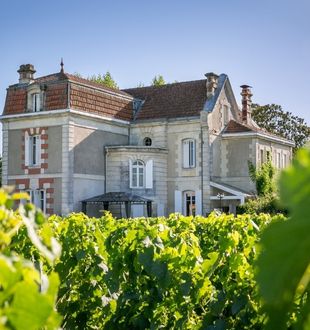 Château Cantenac - photo 3