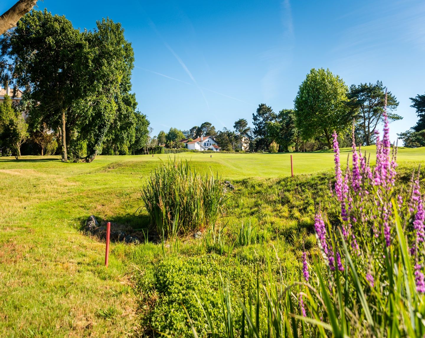 Richard Simpson professeur de golf Biarritz le Phare - photo 3