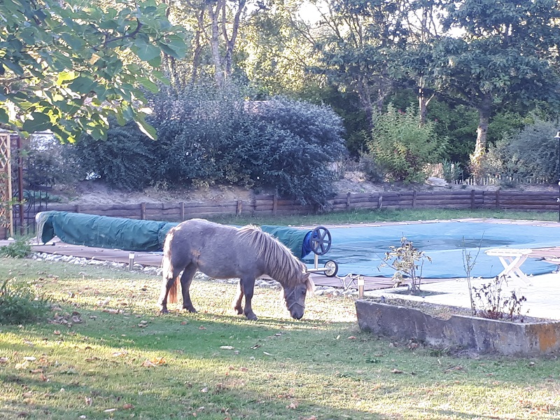 Le Gîte du Gaille, Captieux - photo 3