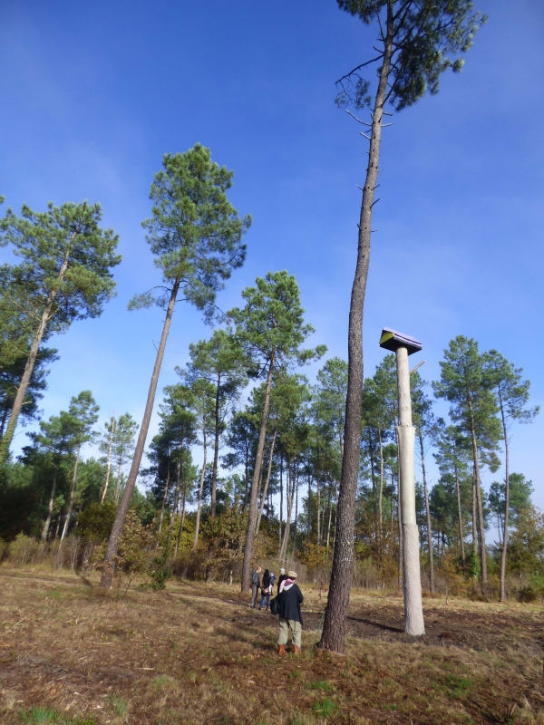 La Forêt d'Art Contemporain : "Le Pavillon", oeuvre n°17, Captieux