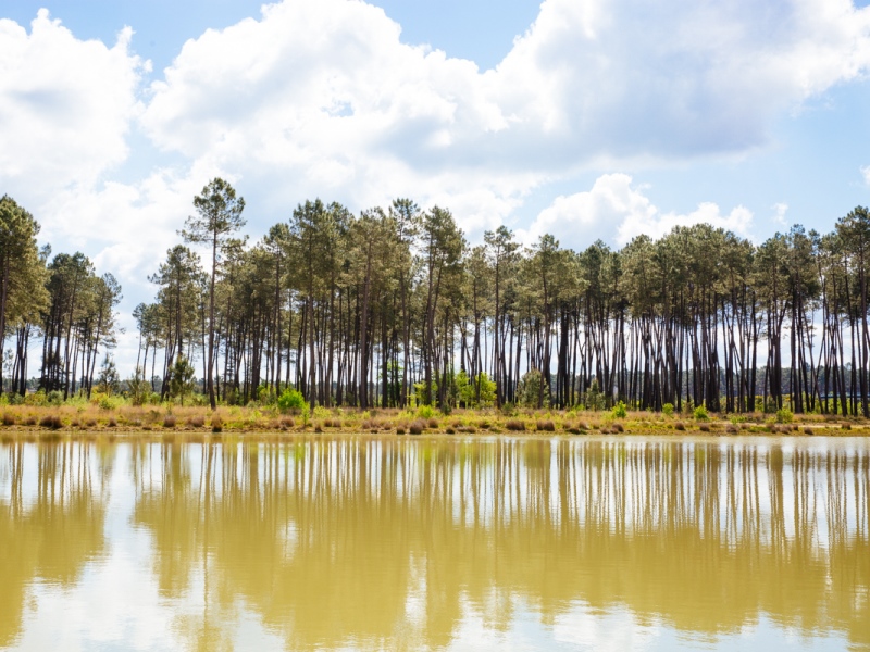 Lac de Taste, Captieux - photo 9