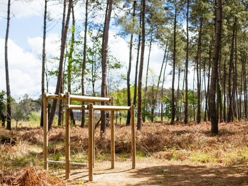 Lac de Taste, Captieux - photo 5