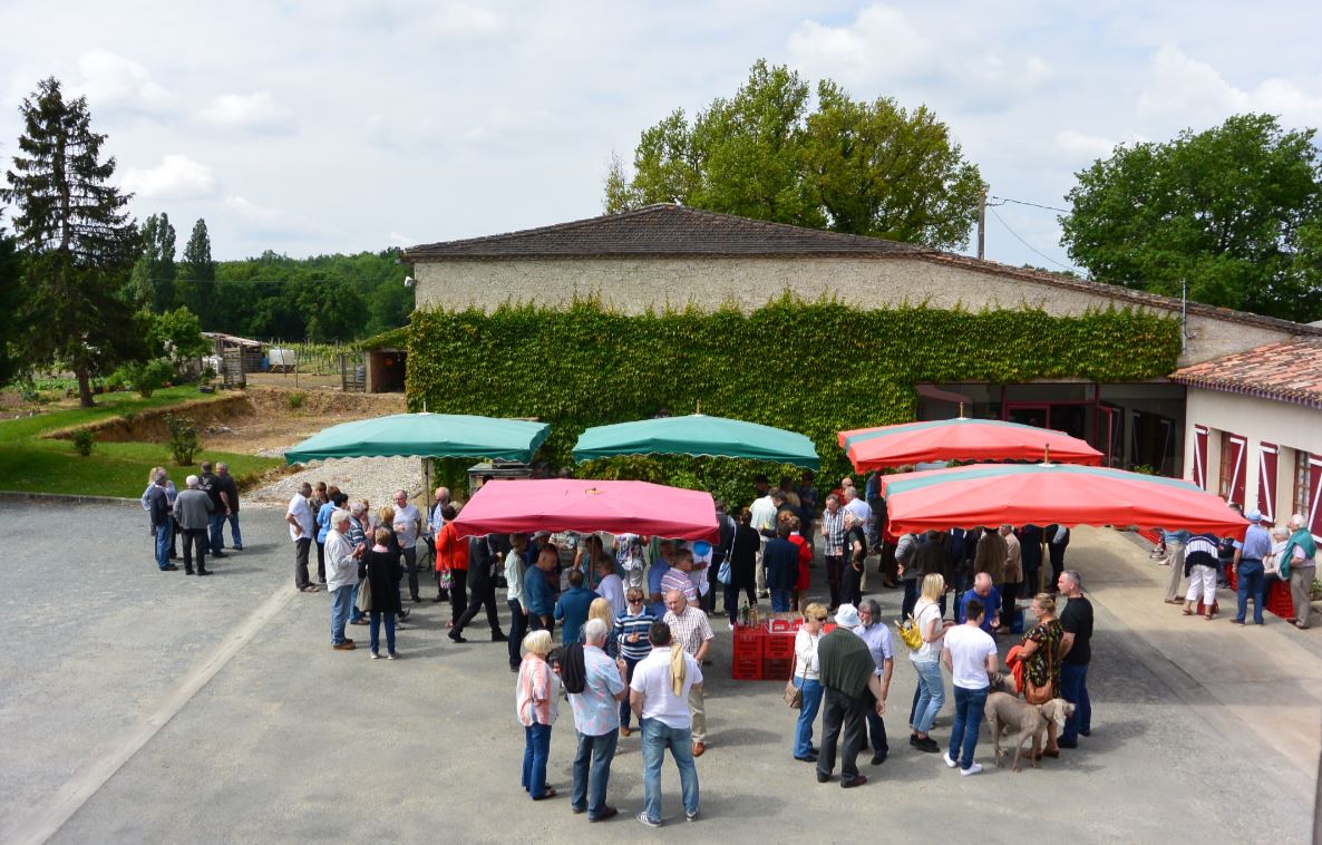 Pique-nique chez le vigneron au Domaine Amblard, Saint-Sernin