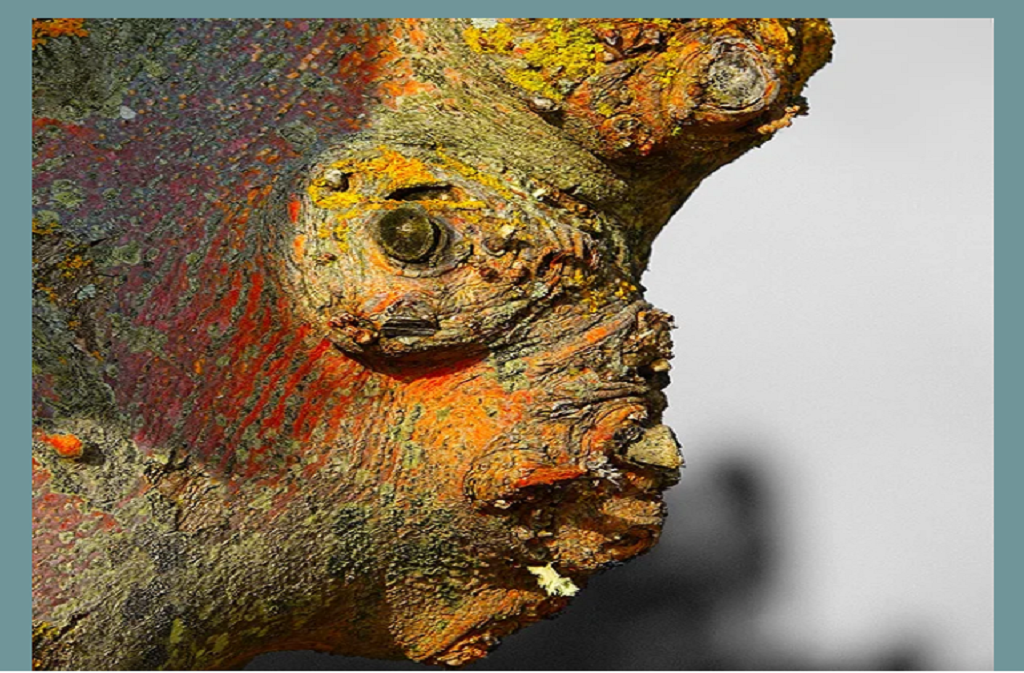 Exposition I Alain Durieux & Bruno Boigontier — visuel événement