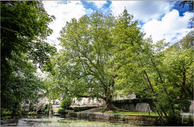 Le Logis de Mauzay - Le LM, Échiré - photo 14