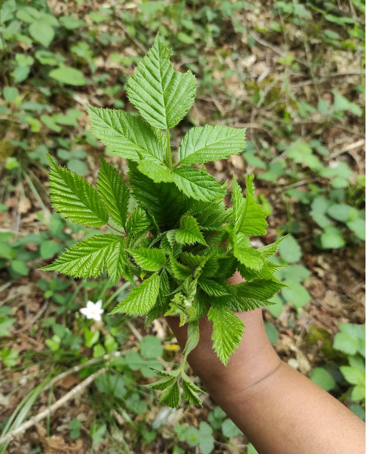 La Tête dans les Marguerites — photo 3
