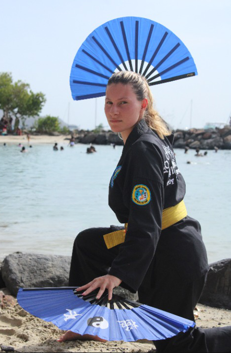 Activité de la MCL : Minh Long Tay Son Vo Dao