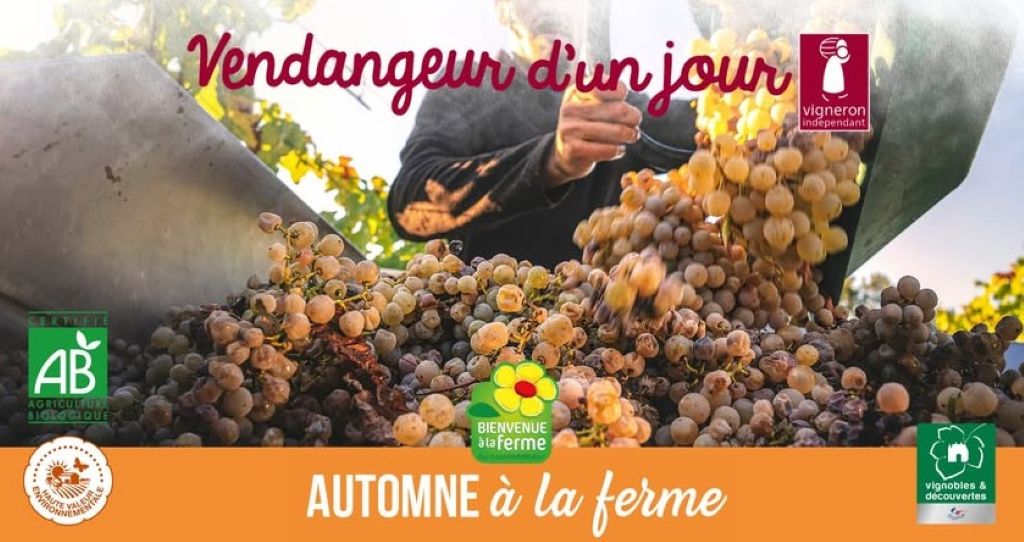 Visuel évènement