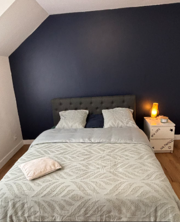 La Maison Destiné, Bonneuil-Matours - photo 14