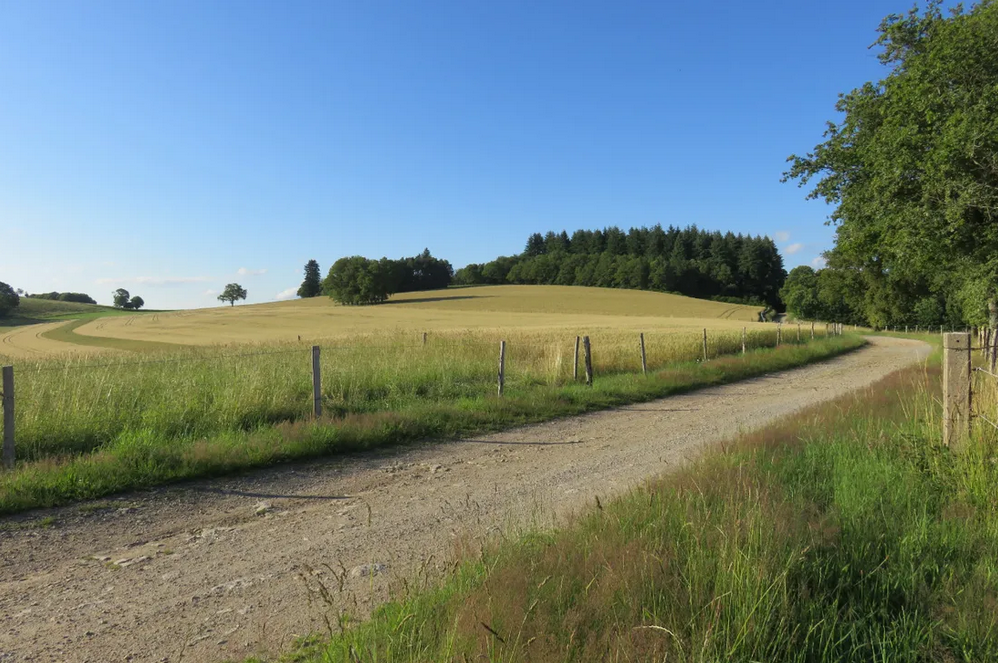 Gite des Limousines, Saint-Dizier-Masbaraud - photo 12