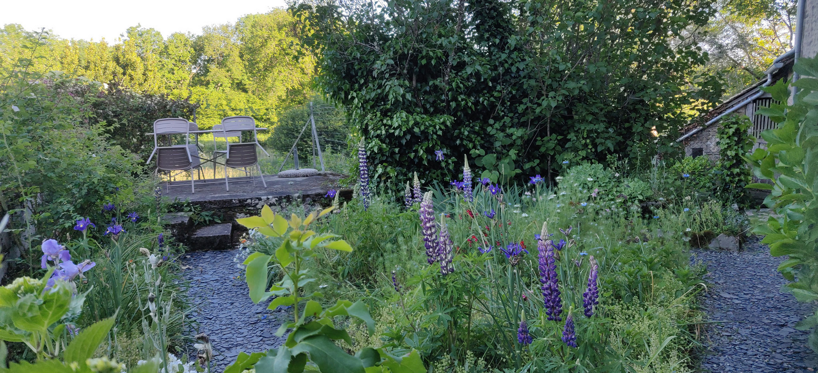 Le jardin de Simone, Lépinas - photo 16