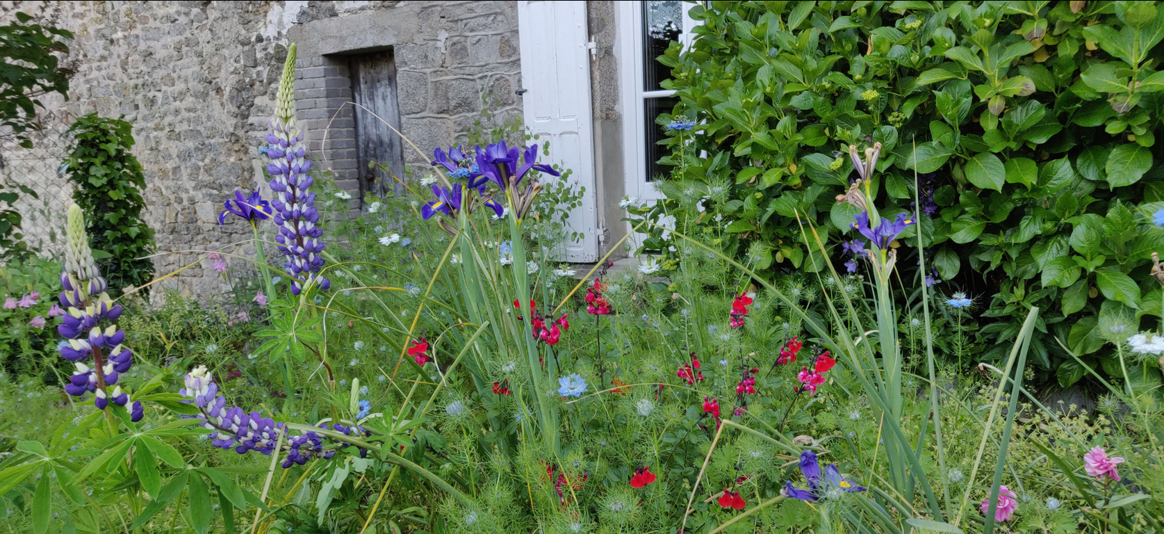 Le jardin de Simone, Lépinas - photo 8