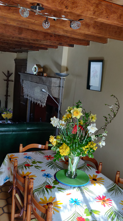 Le jardin de Simone, Lépinas - photo 24