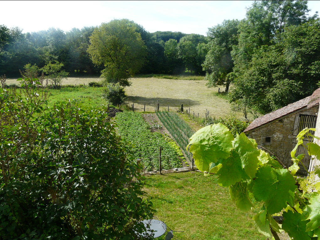 Le jardin de Simone, Lépinas - photo 19