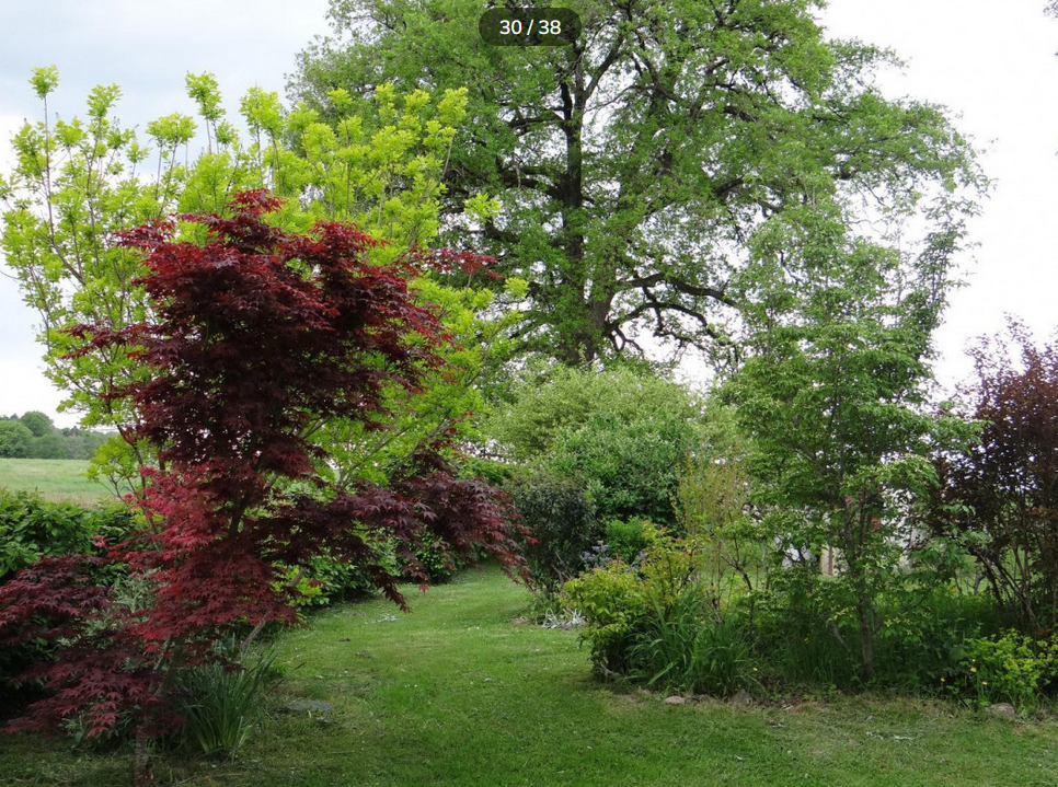 La Maison Blanche et bleue, Saint-Pierre-Chérignat - photo 13