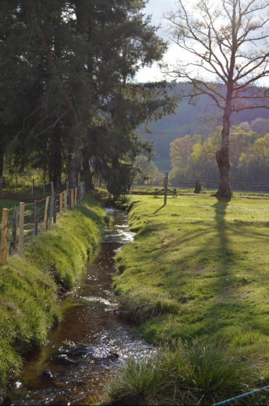 Le Tourtoulloux, Saint-Martin-Château - photo 13