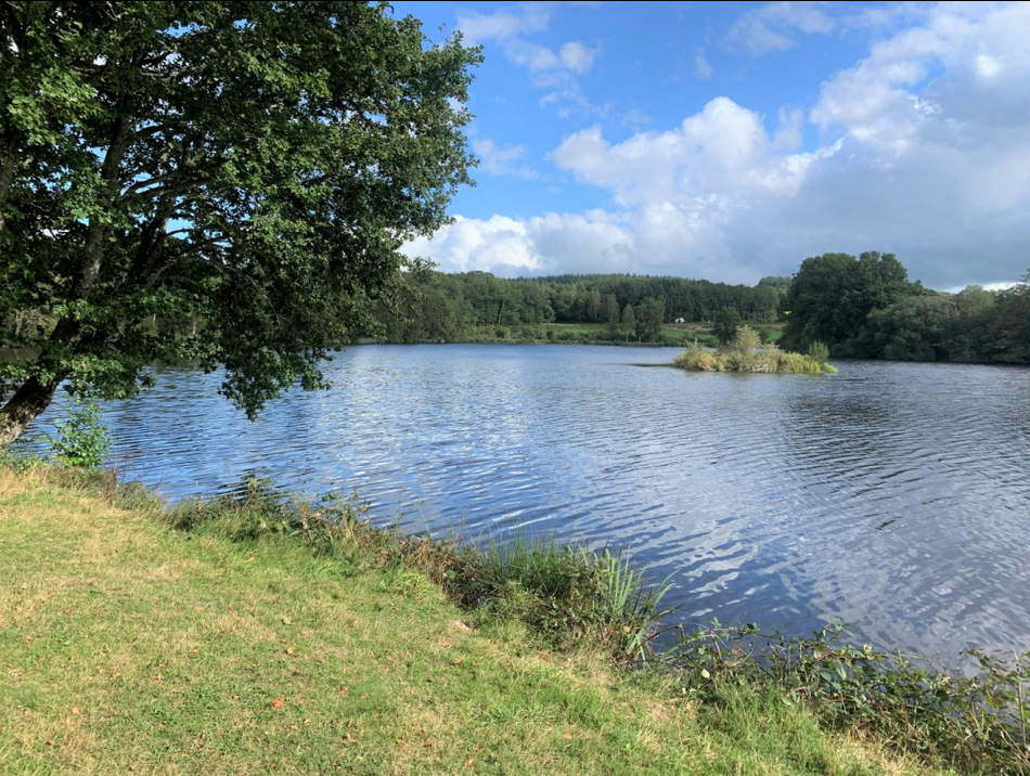 Le gîte du Cheix, Ars - photo 22