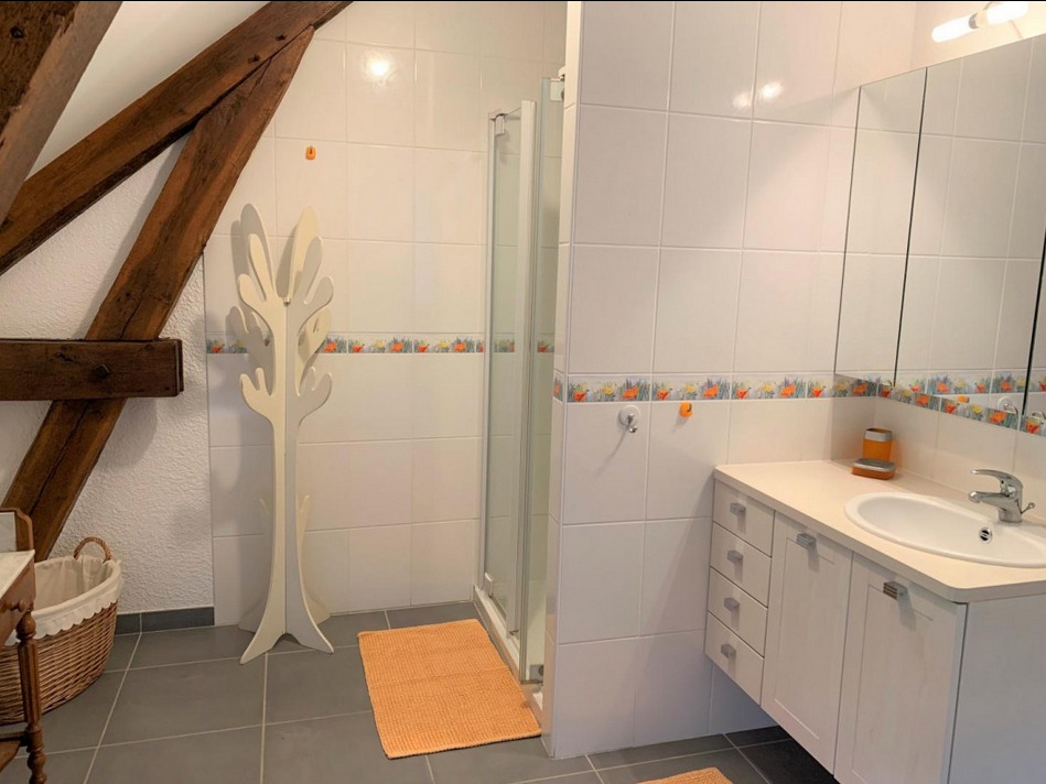 Le gîte du Cheix, Ars - photo 14