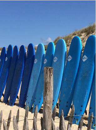 ESGC - Ecole de Surf du Grand Grohot